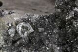 Herkimer Diamonds in Matrix - The Ace of Diamonds Mine, New York #324507-1